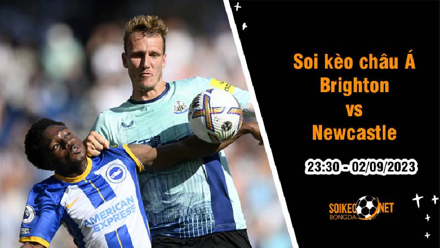 Soi tỷ lệ kèo châu Á trận Brighton vs Newcastle, 23h30 ngày 2/9
