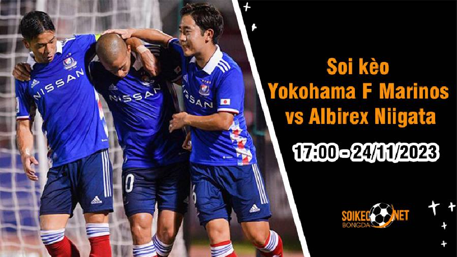 Soi kèo Yokohama F Marinos vs Albirex Niigata 17h00 ngày 24/11: Sức ép từ thánh địa International