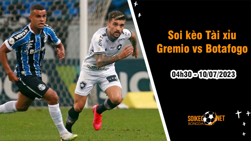 Soi tỷ lệ kèo tài xỉu trận Gremio vs Botafogo, 4h30 ngày 10/07 - Ảnh 1