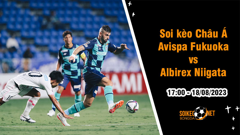 Soi tỷ lệ kèo châu Á trận Avispa Fukuoka vs Albirex Niigata, 17h ngày 18/8 - Ảnh 1