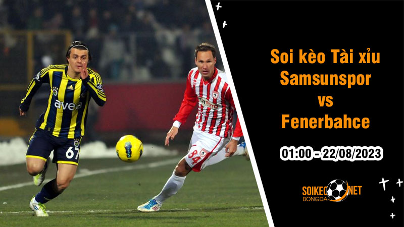 Soi tỷ lệ kèo tài xỉu trận Samsunspor vs Fenerbahce, 1h ngày 22/8 - Ảnh 1