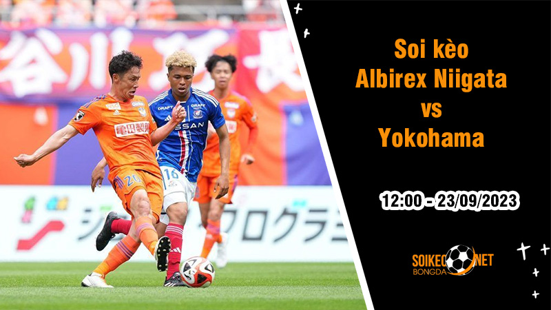 Soi kèo Albirex Niigata vs Yokohama, 12h ngày 23/9: Chủ nhà coi chừng sảy chân - Ảnh 1