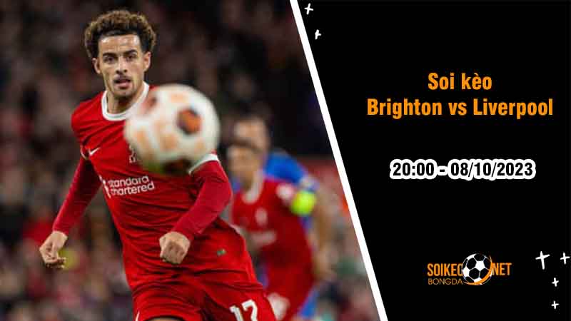 Soi kèo Brighton vs Liverpool 20h00 ngày 8/10: Phong độ trái ngược - Ảnh 2