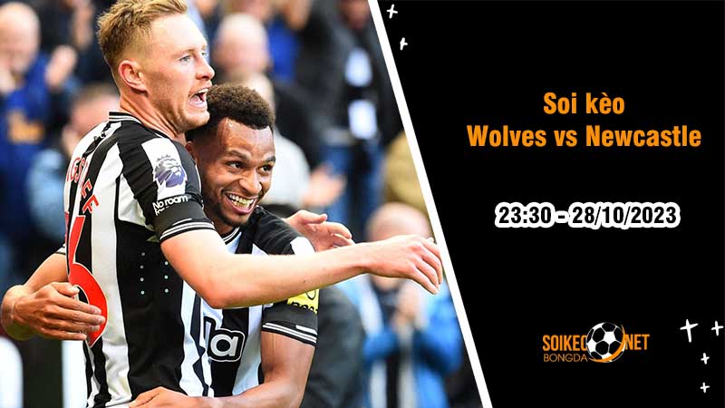 Soi kèo Wolves vs Newcastle 23h30 ngày 28/10: Lấy lại sự tự tin - Ảnh 2