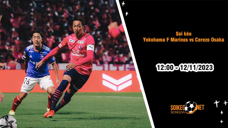 Soi kèo Yokohama F Marinos vs Cerezo Osaka 12h00 ngày 12/11: Duy trì thế bám đuổi - Ảnh 2