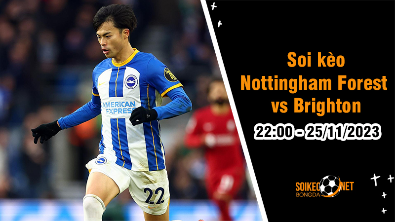 Soi kèo Nottingham Forest vs Brighton 22h00 ngày 25/11: Nỗi đau có lặp lại - Ảnh 1