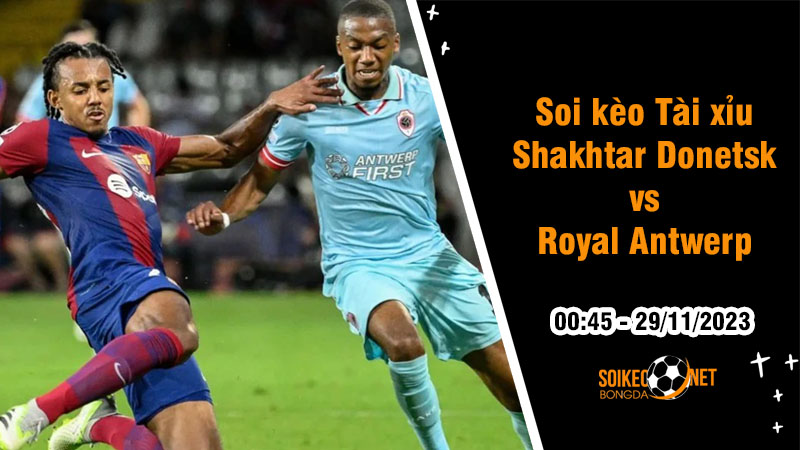 Soi tỷ lệ kèo tài xỉu trận Shakhtar Donetsk vs Royal Antwerp, 0h45 ngày 29/11: Hy vọng mong manh - Ảnh 1