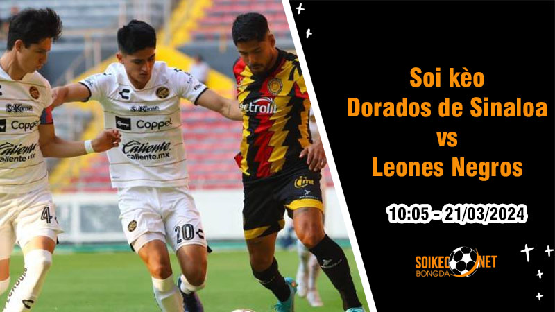 Soi kèo Dorados de Sinaloa vs Leones Negros 10h05 ngày 21/3: Tiếp tục vươn lên top đầu - Ảnh 1
