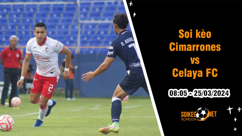 Soi kèo Cimarrones de Sonora vs Celaya FC 8h05 ngày 25/3: Thoát khỏi vũng lầy phong độ - Ảnh 2