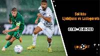 Soi kèo Olimpija Ljubljana vs Ludogorets Razgrad, 1h00 ngày 2/8, Vòng loại Champions League