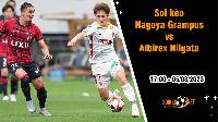 Soi kèo Nagoya Grampus vs Albirex Niigata, 17h ngày 5/8 VĐQG Nhật Bản