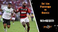 Soi kèo Flamengo vs Gremio, 7h30 ngày 17/8 Cúp QG Brazil