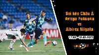 Soi tỷ lệ kèo châu Á trận Avispa Fukuoka vs Albirex Niigata, 17h ngày 18/8