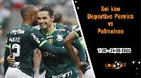Soi kèo Deportivo Pereira vs Palmeiras, 7h30 ngày 24/8 Copa Libertadores