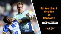Soi tỷ lệ kèo châu Á trận Brighton vs Newcastle, 23h30 ngày 2/9
