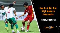 Soi tỷ lệ kèo tài xỉu trận Việt Nam vs Indonesia, 19h ngày 26/3: Áp lực ngàn cân tại Mỹ Đình